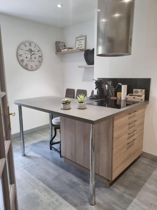 L'Ourse, Epinal,Tres Bel Appartement Quartier Port Εξωτερικό φωτογραφία
