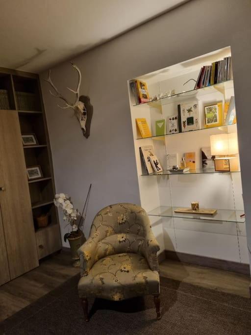 L'Ourse, Epinal,Tres Bel Appartement Quartier Port Εξωτερικό φωτογραφία